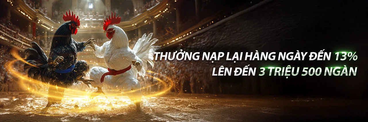 Hình ảnh giới thiệu momo88 casino
