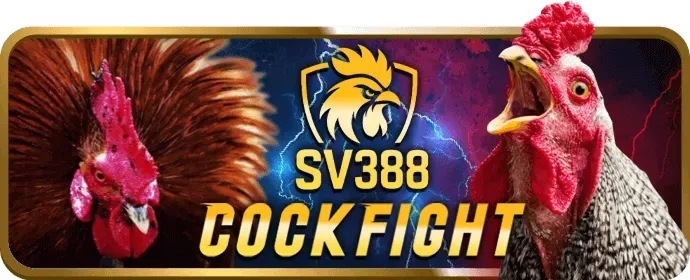 Chương trình hoàn trả cược thua thể thao momo88 casino