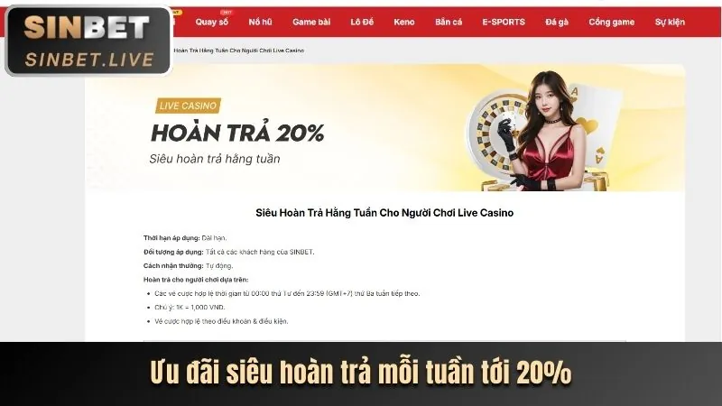 Tổng quan các loại khuyến mãi momo88 casino